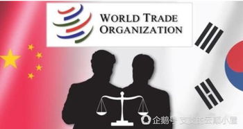 中国在世贸组织的举措获赞